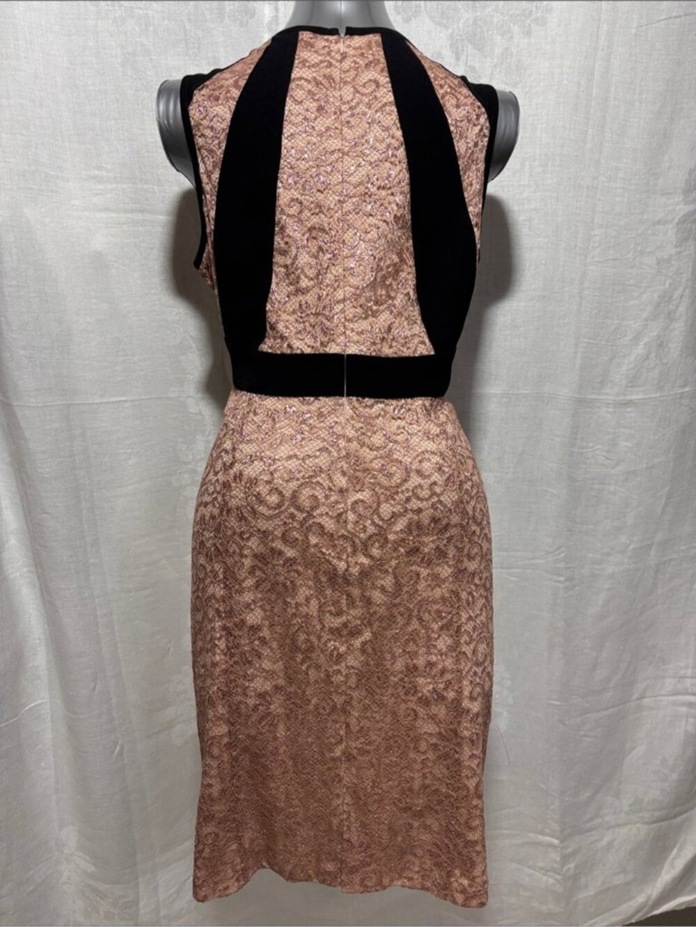 Ivanka Trump Rose Gold Pink Lace Midi Dress with Black Paneling Size 16 - Picture 4 of 7